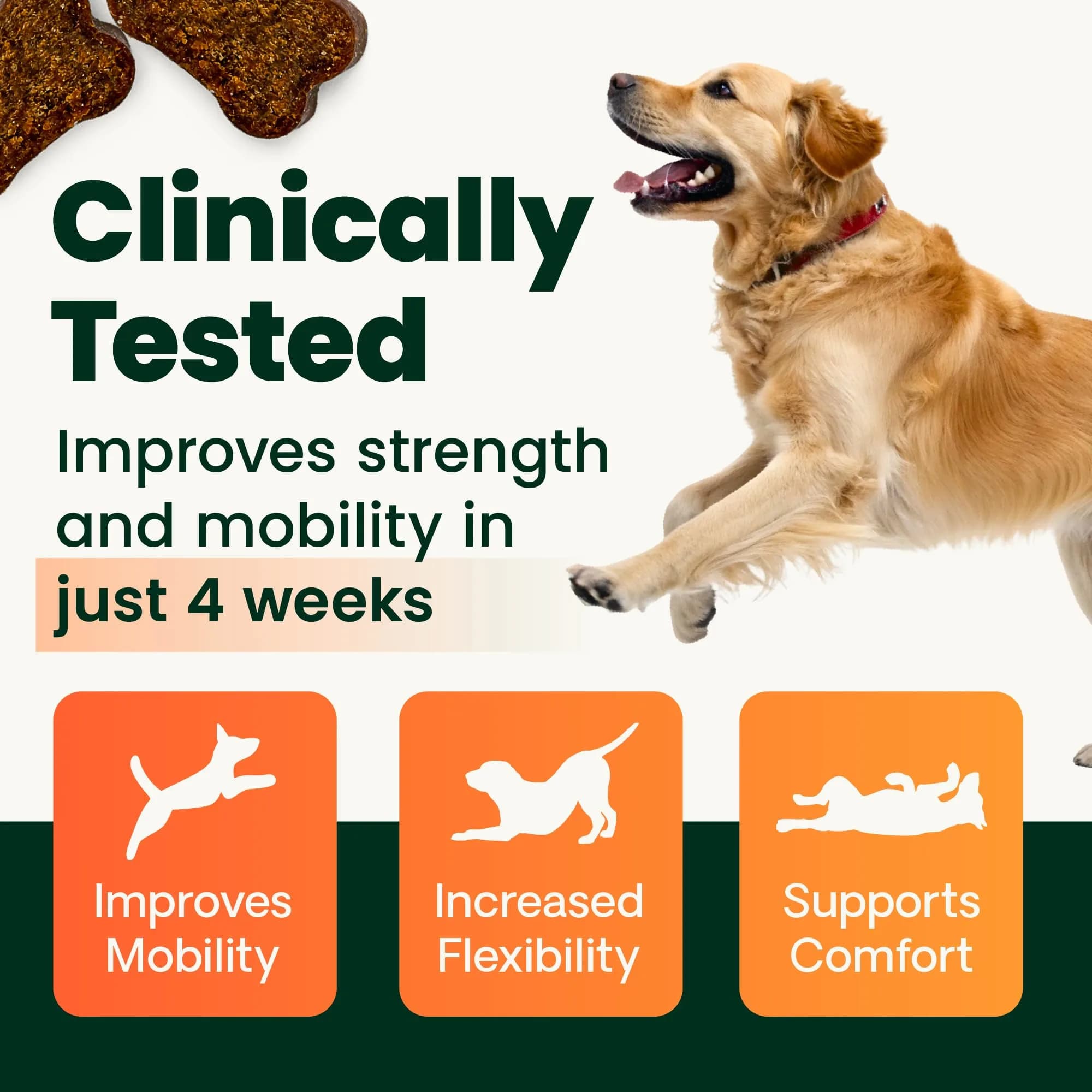 VetriScience Extra Strength Healthy Hip & Joint Chews for Dogs, Chicken Flavour, 60 Count (Pack of 2) - view 3