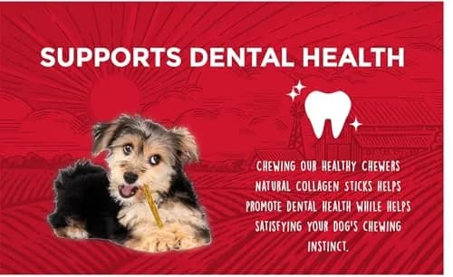 Rewardables Healthy Chewers Natural Collagen & Beef Sticks for Dogs | High Protein, Limited Ingredients, 100 Count (Pack of 2) thumbnail 3
