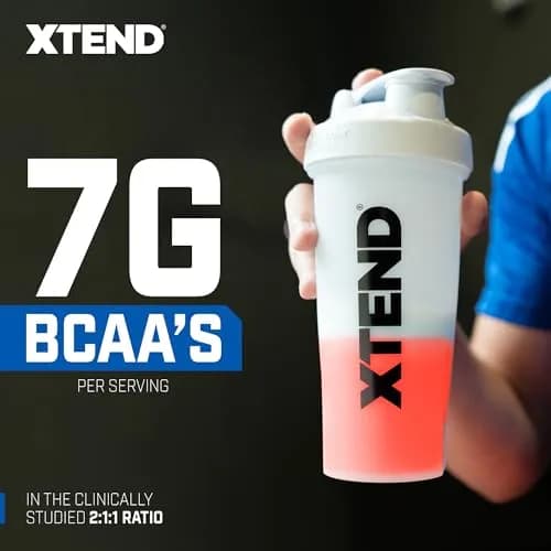 Xtend BCAA Powder Strawberry Kiwi Splash | Electrolyte Recovery & Hydration (12.2 oz, Pack of 2) thumbnail 4