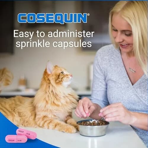 Nutramax Cosequin for Cats Joint Support Capsules 60 Count | Supports Healthy Joints with Glucosamine & Boswellia thumbnail 3