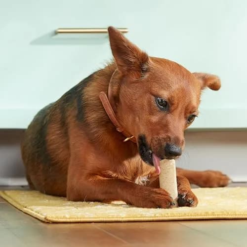 Nutrish Rachael Ray Soup Bones Long Lasting Dog Chews Variety Pack, 22 Count (Pack of 2) | Tasty, Long-Lasting Dog Chews with Real Meat thumbnail 4
