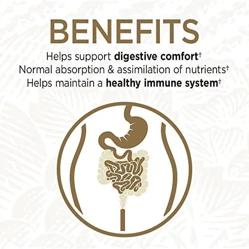 Garden of Life Primal Defense Ultra Ultimate Formula Probiotic 432 Count (Pack of 2) | Digestive Health & Immune Support thumbnail 4