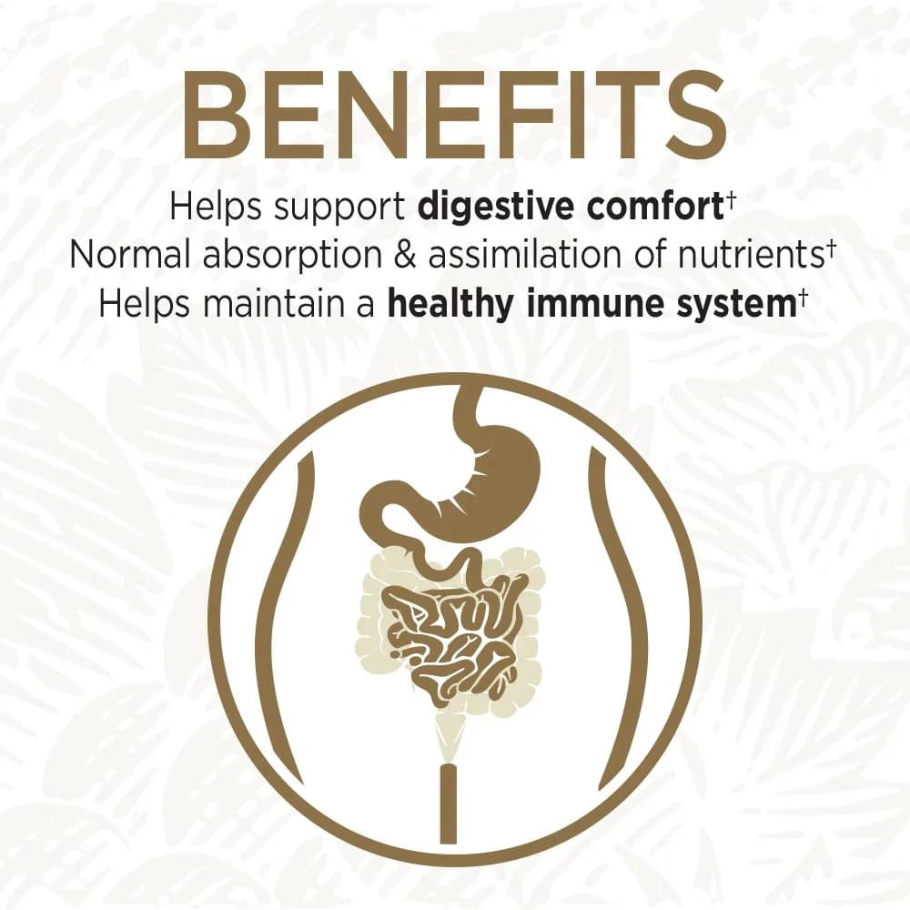 Garden of Life Primal Defense Ultra Ultimate Formula Probiotic 432 Count (Pack of 2) | Digestive Health & Immune Support - view 4