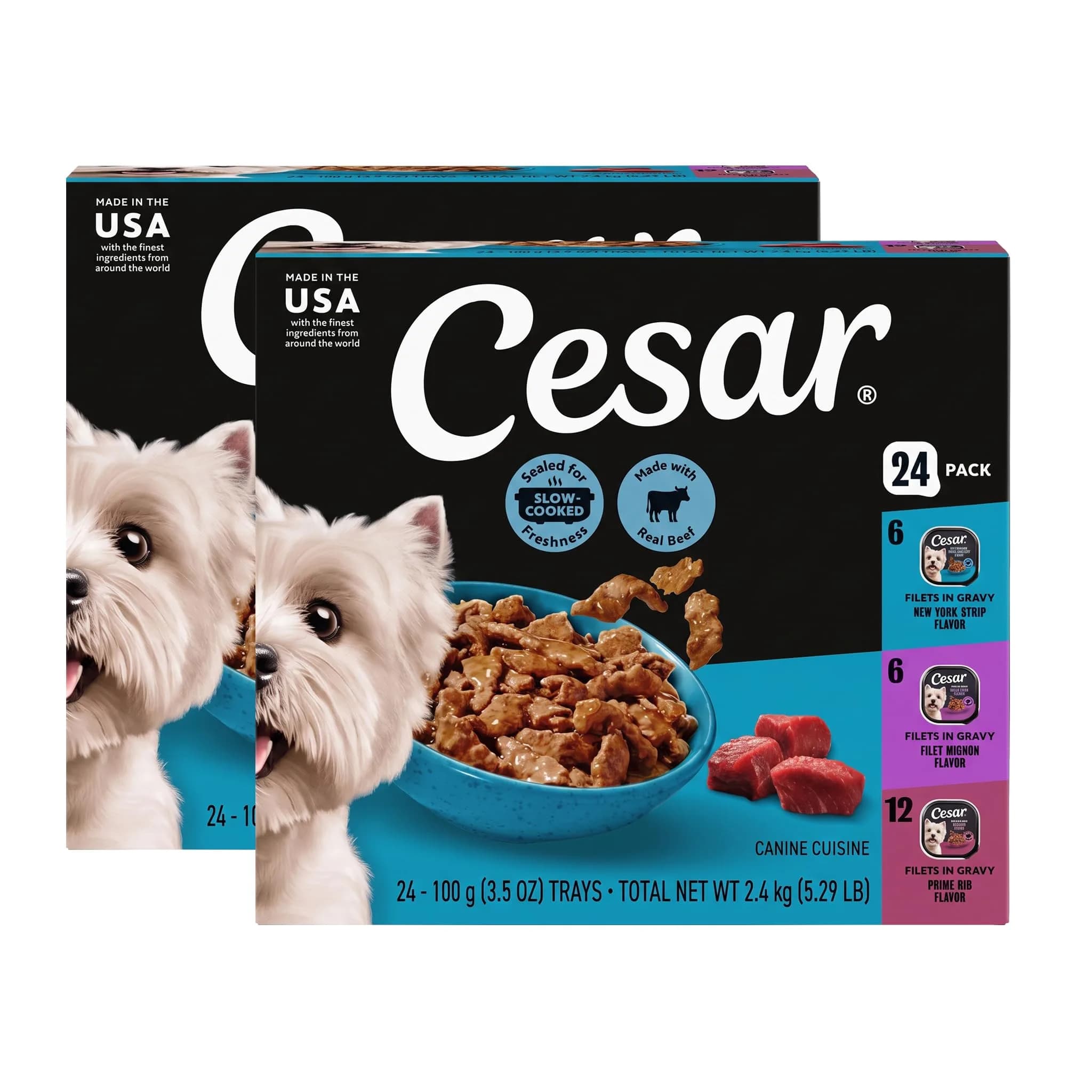 Cesar Filets in Gravy Wet Dog Food, Steak Mix Variety, 3.5 oz | Real Meat, Complete & Balanced for Adult Dogs — Wet