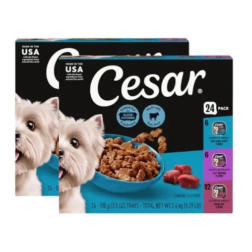 Cesar Filets in Gravy Wet Dog Food, Steak Mix Variety, 24 count, 2 pack | Made in USA with real meat, easy digestible, complete for adult dogs thumbnail 1
