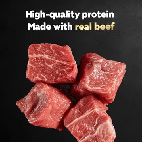 Cesar Filets in Gravy Wet Dog Food, Steak Mix Variety, 24 count, 2 pack | Made in USA with real meat, easy digestible, complete for adult dogs thumbnail 4