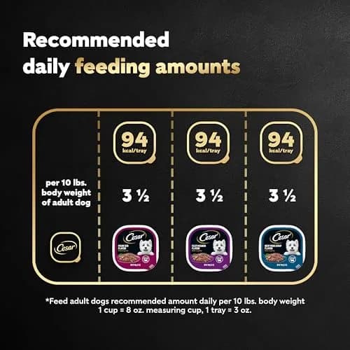 Cesar Filets in Gravy Wet Dog Food, Steak Mix Variety, 24 count, 2 pack | Made in USA with real meat, easy digestible, complete for adult dogs thumbnail 5