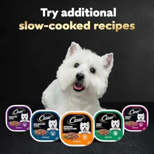 Cesar Filets in Gravy Wet Dog Food, Steak Mix Variety, 24 count, 2 pack | Made in USA with real meat, easy digestible, complete for adult dogs thumbnail 7