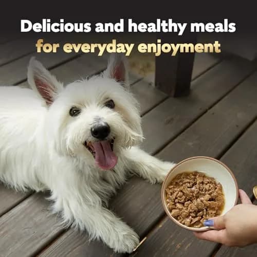Cesar Filets in Gravy Wet Dog Food, Steak Mix Variety, 24 count, 2 pack | Made in USA with real meat, easy digestible, complete for adult dogs thumbnail 9