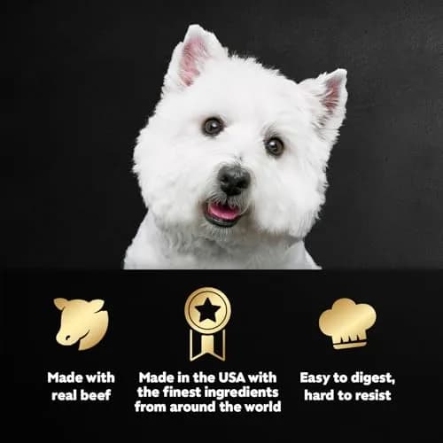 Cesar Filets in Gravy Wet Dog Food, Steak Mix Variety, 24 count, 2 pack | Made in USA with real meat, easy digestible, complete for adult dogs thumbnail 2