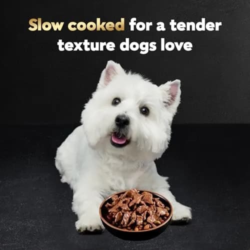 Cesar Filets in Gravy Wet Dog Food, Steak Mix Variety, 24 count, 2 pack | Made in USA with real meat, easy digestible, complete for adult dogs thumbnail 3