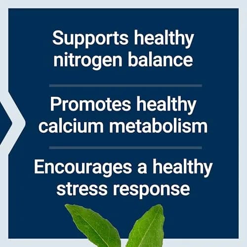 Life Extension L-Lysine 620mg Vegetarian Capsules (200 Count) | Essential Amino Acid for Healthy Nitrogen Balance thumbnail 3