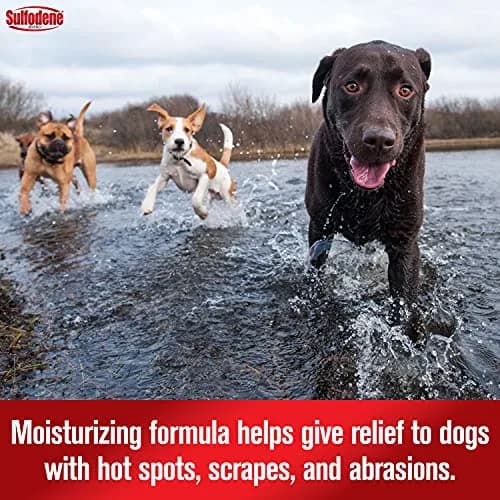 Sulfodene Hot Spot & Itch Relief Medicated Spray for Dog 8oz (Pack of 2) | Moisturizing & Soothing Relief thumbnail 4