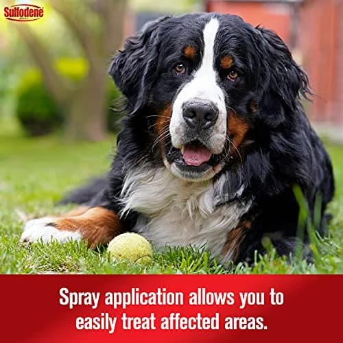 Sulfodene Hot Spot & Itch Relief Medicated Spray for Dog 8oz (Pack of 2) | Moisturizing & Soothing Relief thumbnail 5