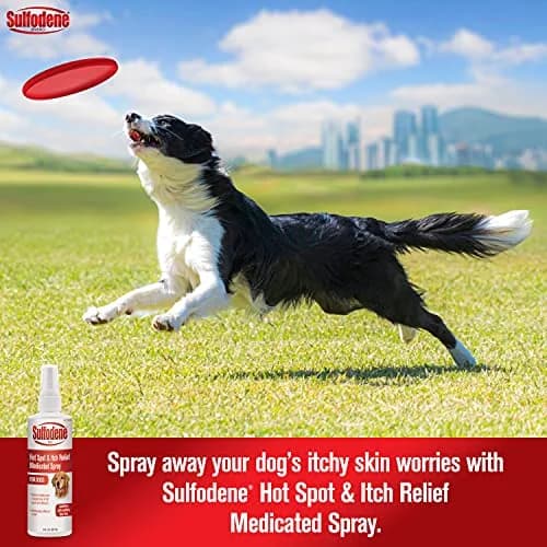 Sulfodene Hot Spot & Itch Relief Medicated Spray for Dog 8oz (Pack of 2) | Moisturizing & Soothing Relief thumbnail 2