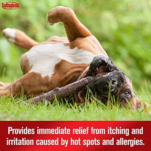 Sulfodene Hot Spot & Itch Relief Medicated Spray for Dog 8oz (Pack of 2) | Moisturizing & Soothing Relief thumbnail 3