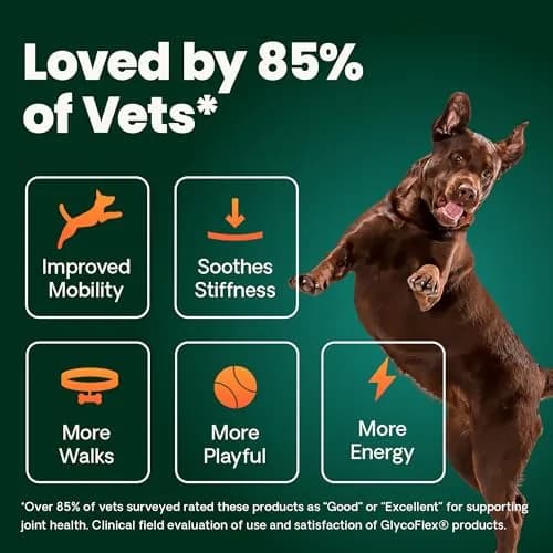 VetriScience Extra Strength Healthy Hip & Joint Chews for Dogs, GlycoFlex 3, 240 Chews (Pack of 2) | Advanced Joint Support for Mobility & Recovery thumbnail 5