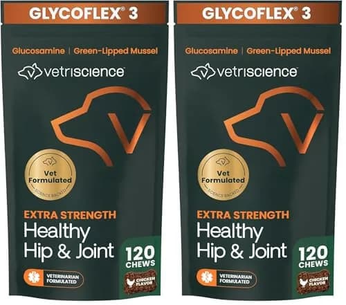 VetriScience Extra Strength Healthy Hip & Joint Chews for Dogs, GlycoFlex 3, 240 Chews (Pack of 2) | Advanced Joint Support for Mobility & Recovery thumbnail 1