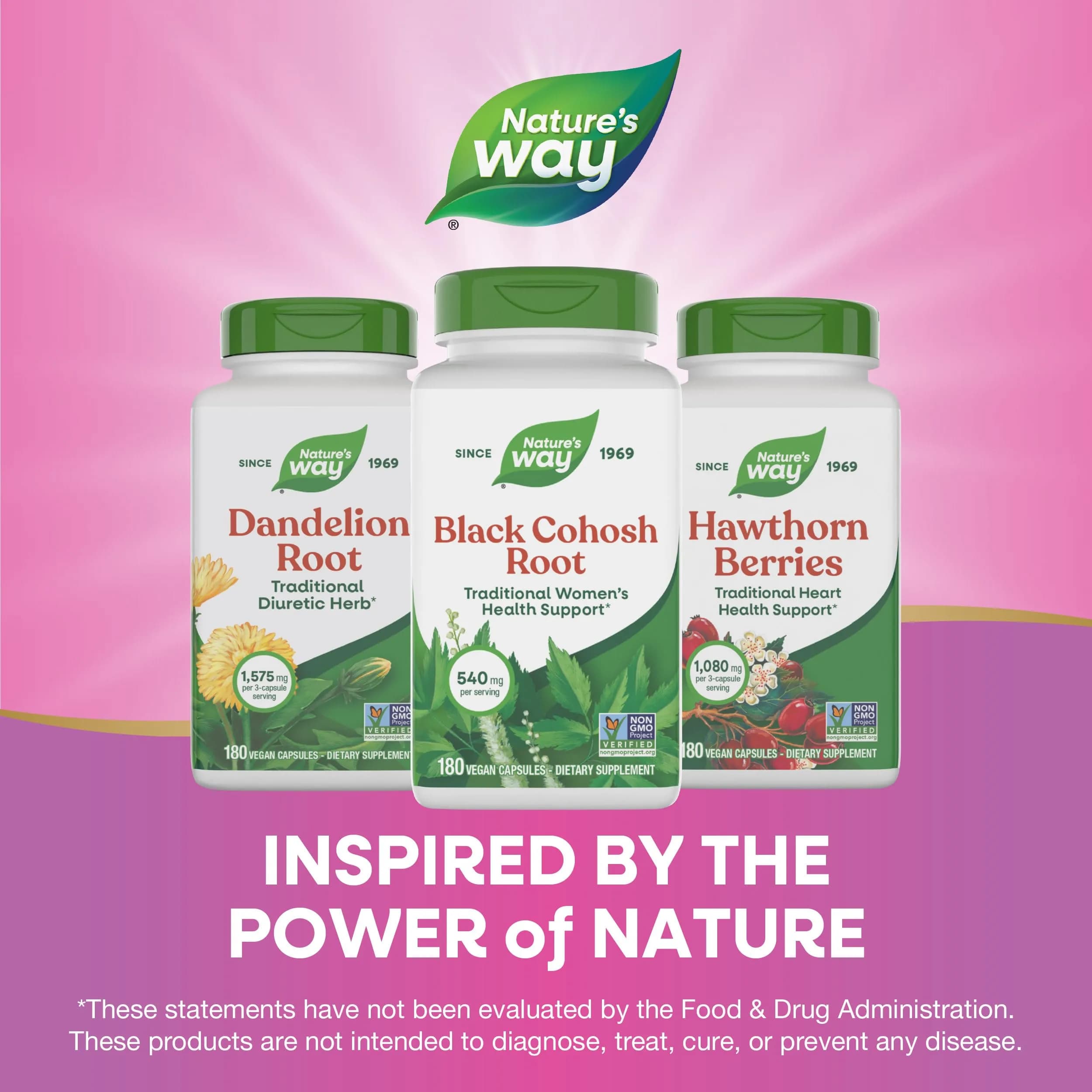 Nature's Way Black Cohosh Root Herbal Supplement 360 Capsules (180 Count x 2) | Traditional Women's Health Support - view 7