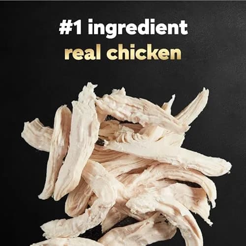 Cesar Simply Crafted Adult Wet Dog Food Toppers for Dry Food, Chicken, 1.3 oz Tub | Real Chicken & Natural Ingredients thumbnail 4