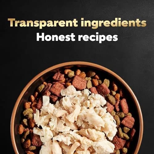 Cesar Simply Crafted Adult Wet Dog Food Toppers for Dry Food, Chicken, 1.3 oz Tub | Real Chicken & Natural Ingredients thumbnail 6