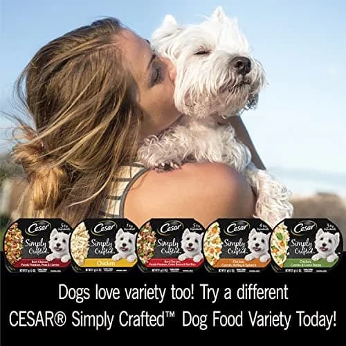 Cesar Simply Crafted Adult Wet Dog Food Toppers for Dry Food, Chicken, 1.3 oz Tub | Real Chicken & Natural Ingredients thumbnail 7