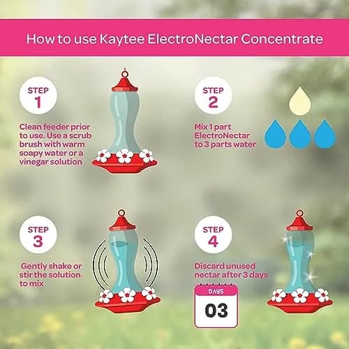 Kaytee Hummingbird ElectroNectar Concentrate 16 Fl Oz | Clear Nectar with Electrolytes for Wild Birds thumbnail 5