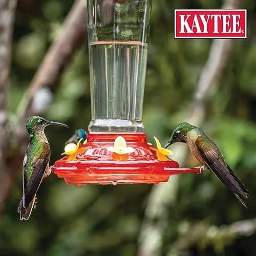 Kaytee Hummingbird ElectroNectar Concentrate 16 Fl Oz | Clear Nectar with Electrolytes for Wild Birds thumbnail 6
