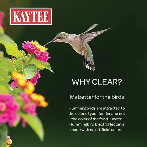 Kaytee Hummingbird ElectroNectar Concentrate 16 Fl Oz | Clear Nectar with Electrolytes for Wild Birds thumbnail 4