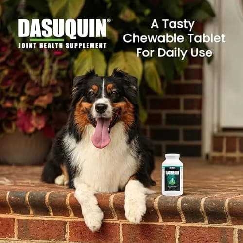 Nutramax Dasuquin for Large Dogs, Joint Health Supplement, Glucosamine, Chondroitin, ASU, 300 Chewable Tablets | Vet Recommended for Large Breed Dogs thumbnail 4