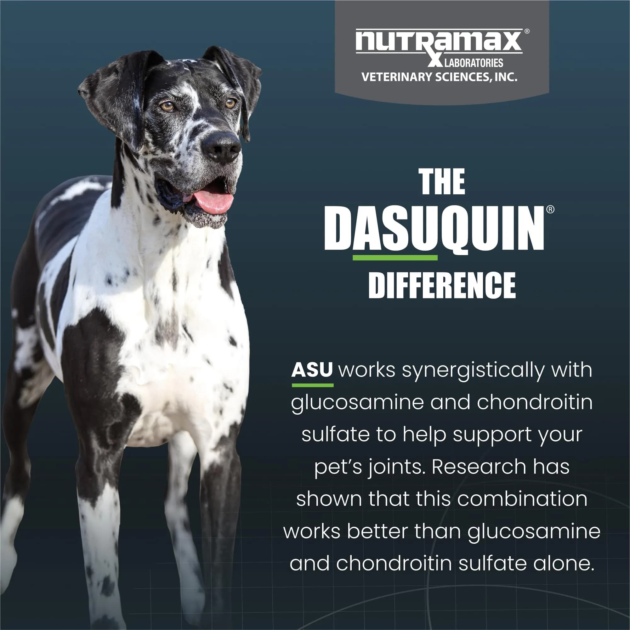 Nutramax Dasuquin for Large Dogs, Joint Health Supplement, Glucosamine, Chondroitin, ASU, 300 Chewable Tablets | Vet Recommended for Large Breed Dogs - view 6