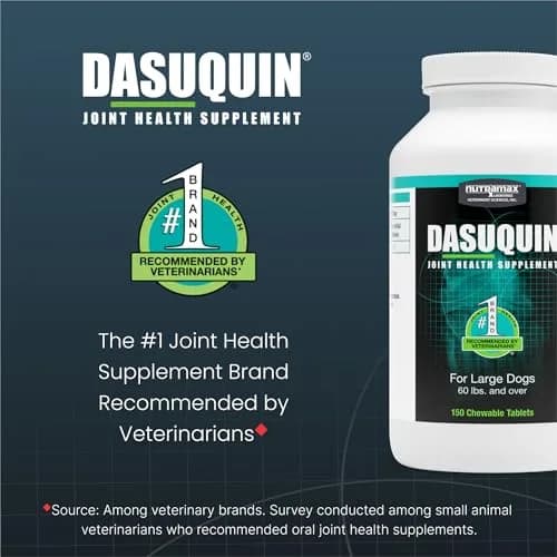 Nutramax Dasuquin for Large Dogs, Joint Health Supplement, Glucosamine, Chondroitin, ASU, 300 Chewable Tablets | Vet Recommended for Large Breed Dogs thumbnail 3