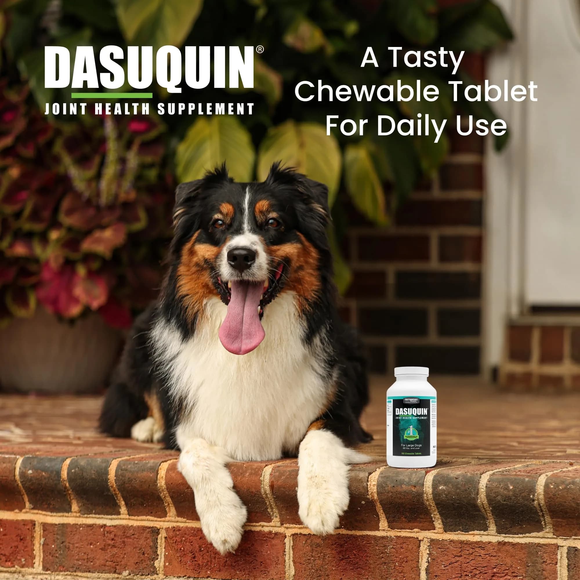 Nutramax Dasuquin for Large Dogs, Joint Health Supplement, Glucosamine, Chondroitin, ASU, 300 Chewable Tablets | Vet Recommended for Large Breed Dogs - view 4