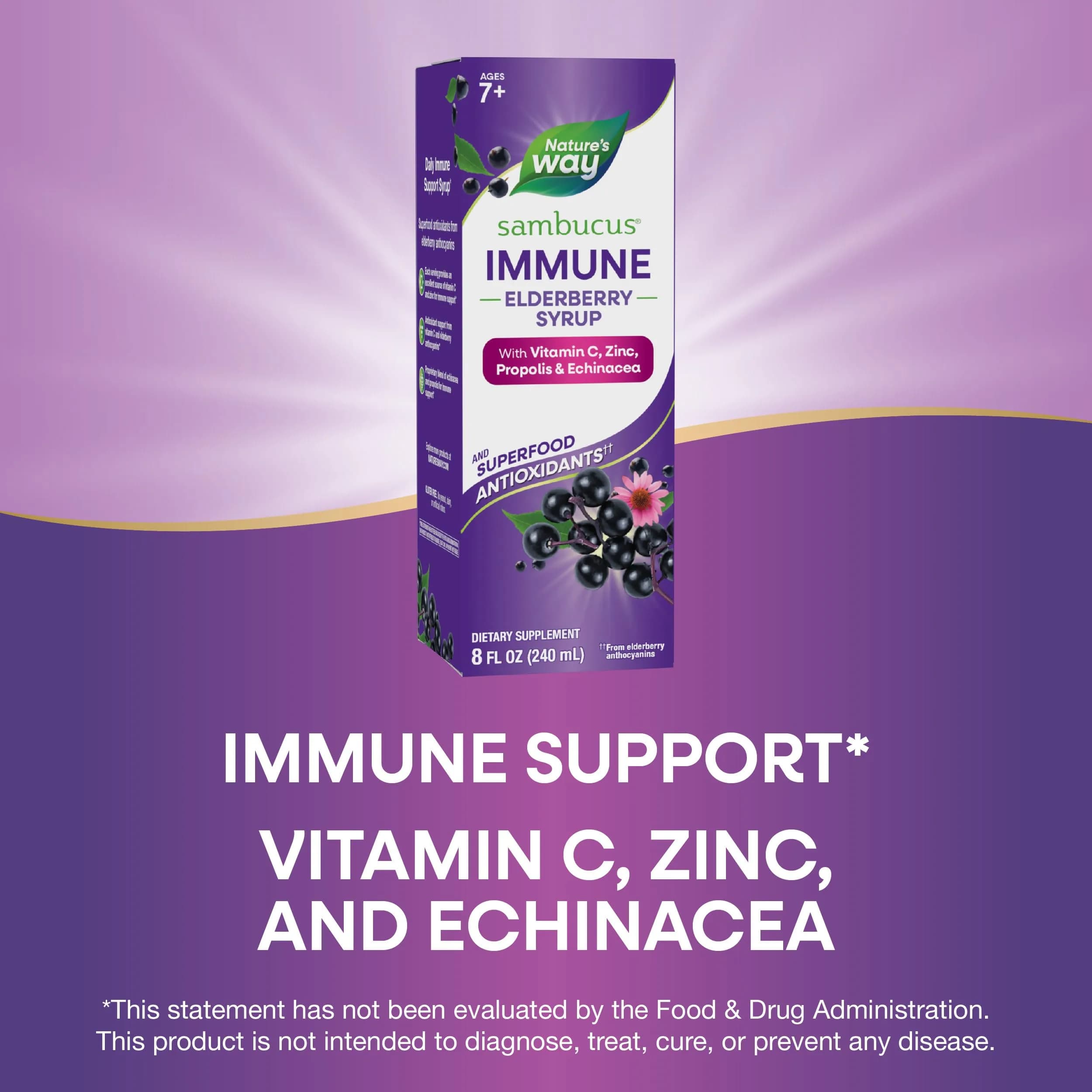 Nature's Way Sambucus Immune Elderberry Syrup 480ml (16 Fl Oz) | Daily Immune Support with Vitamin C & Zinc - view 4