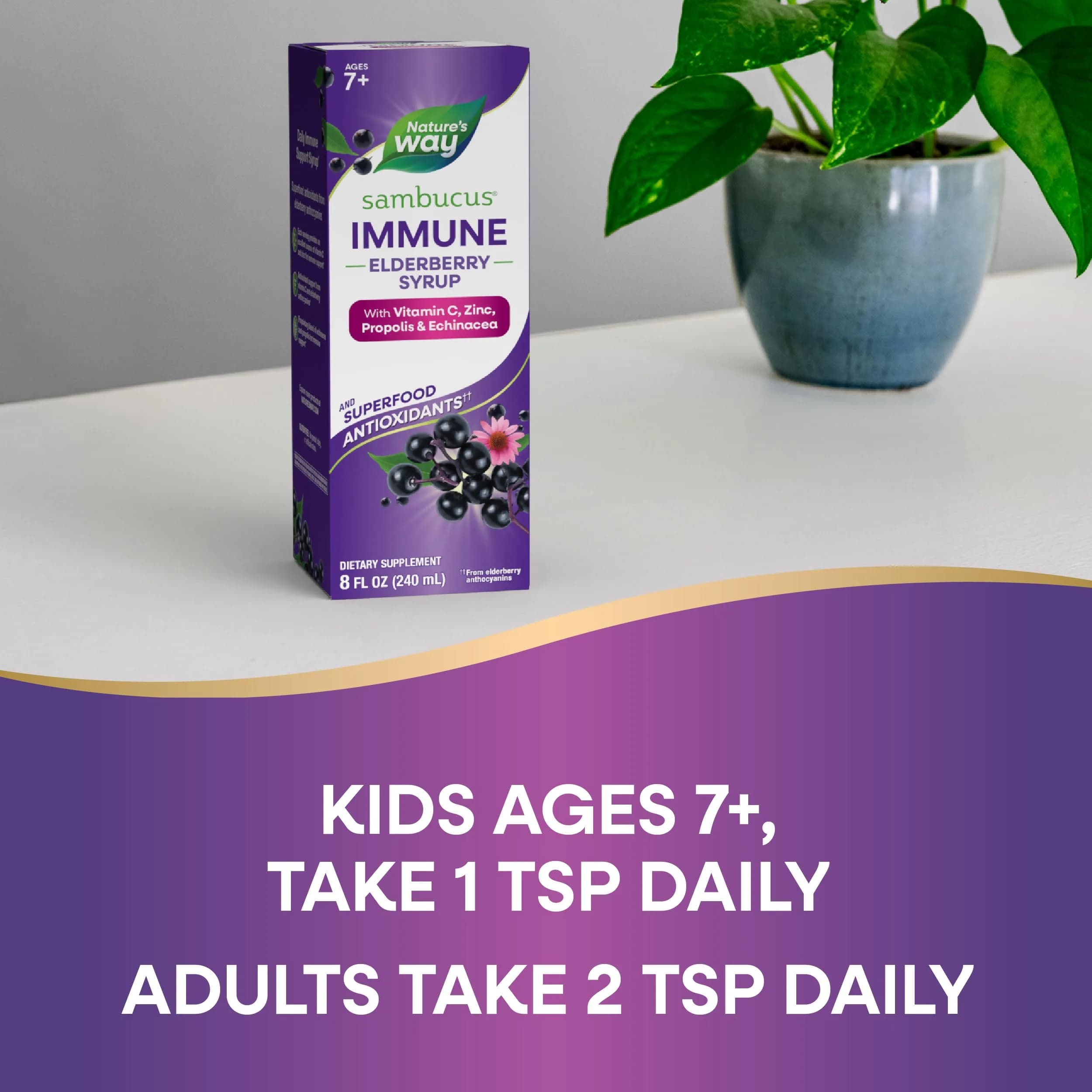 Nature's Way Sambucus Immune Elderberry Syrup 480ml (16 Fl Oz) | Daily Immune Support with Vitamin C & Zinc - view 6