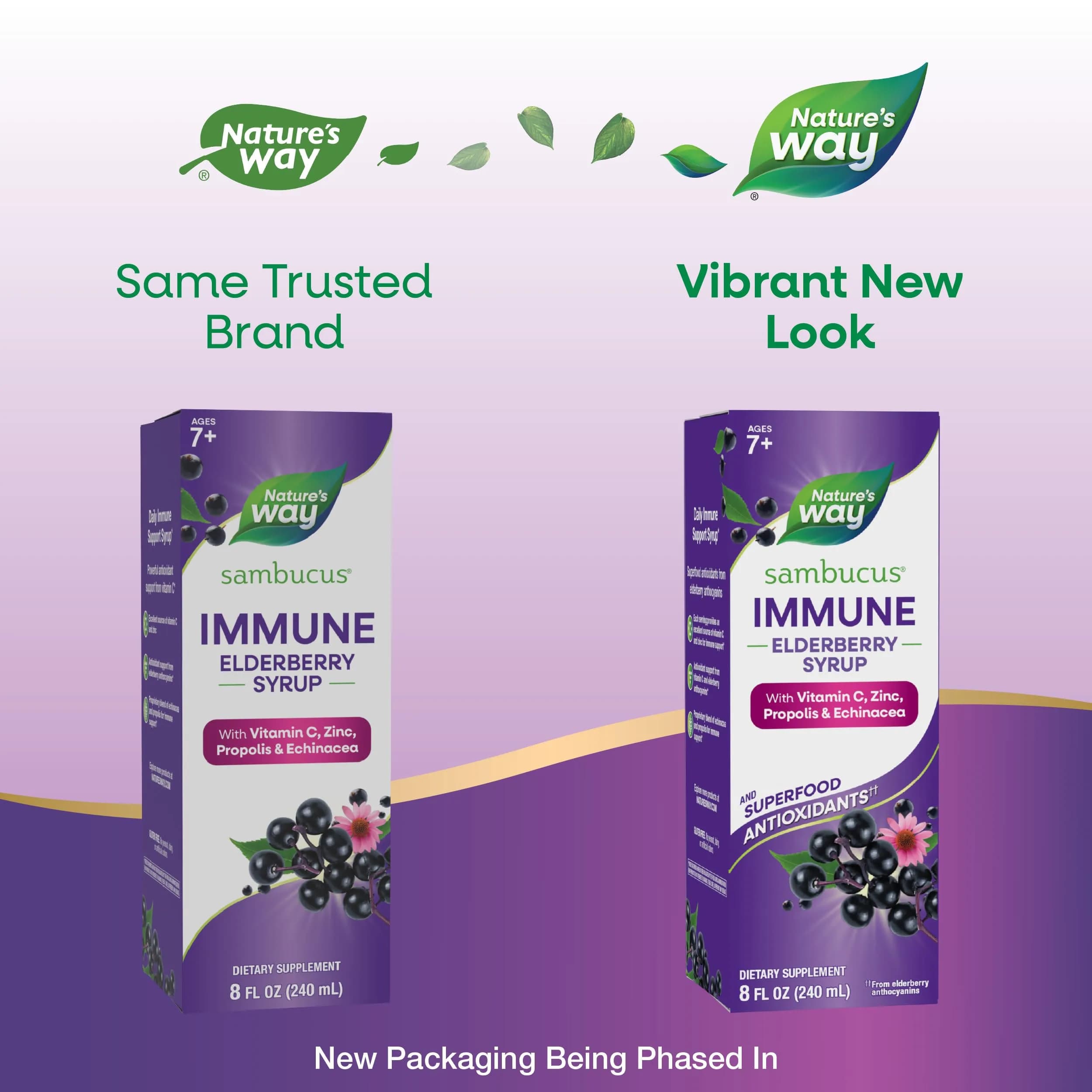 Nature's Way Sambucus Immune Elderberry Syrup 480ml (16 Fl Oz) | Daily Immune Support with Vitamin C & Zinc - view 2