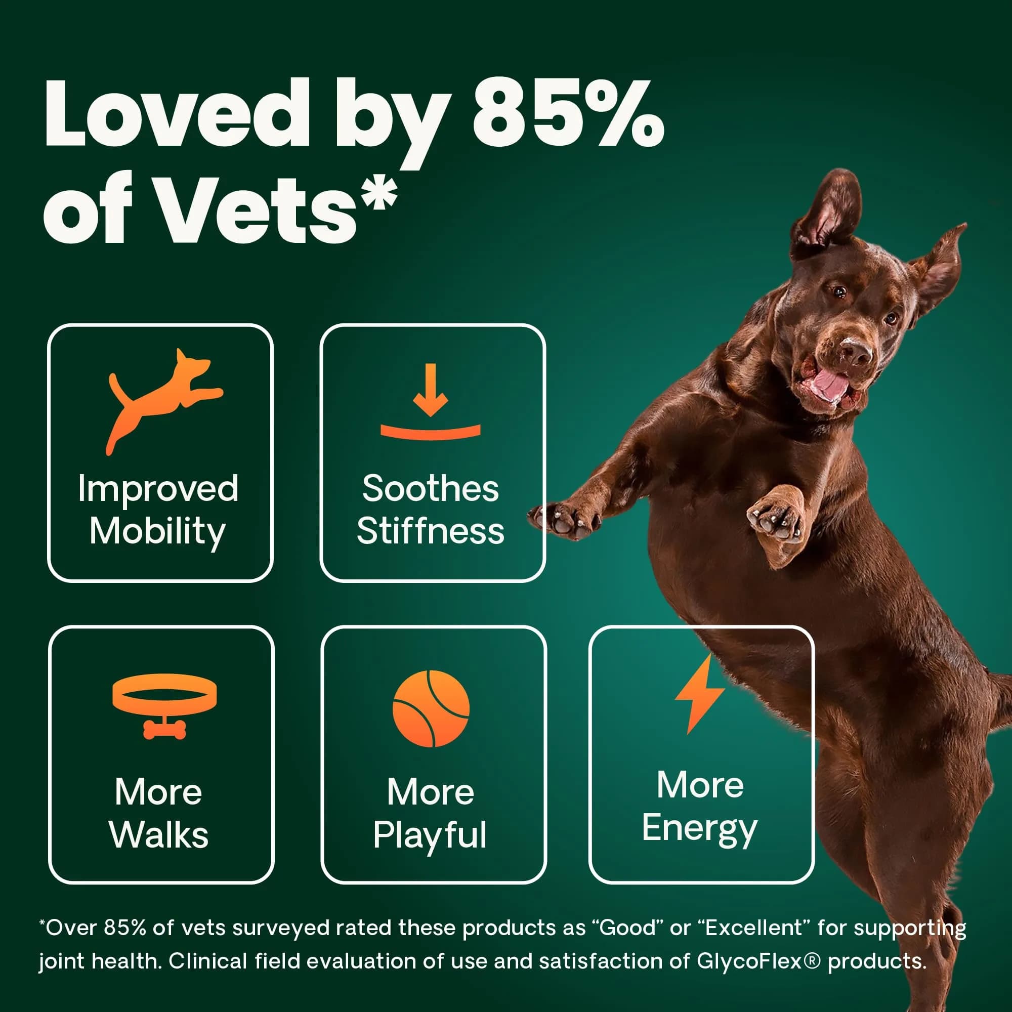 VetriScience Extra Strength Healthy Hip & Joint Chewable Tablets for Dogs | 240 Tablets (Pack of 2) - view 4