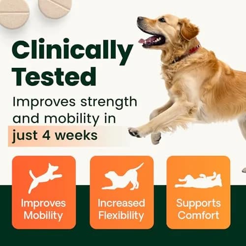 VetriScience Extra Strength Healthy Hip & Joint Chewable Tablets for Dogs | 240 Tablets (Pack of 2) thumbnail 2