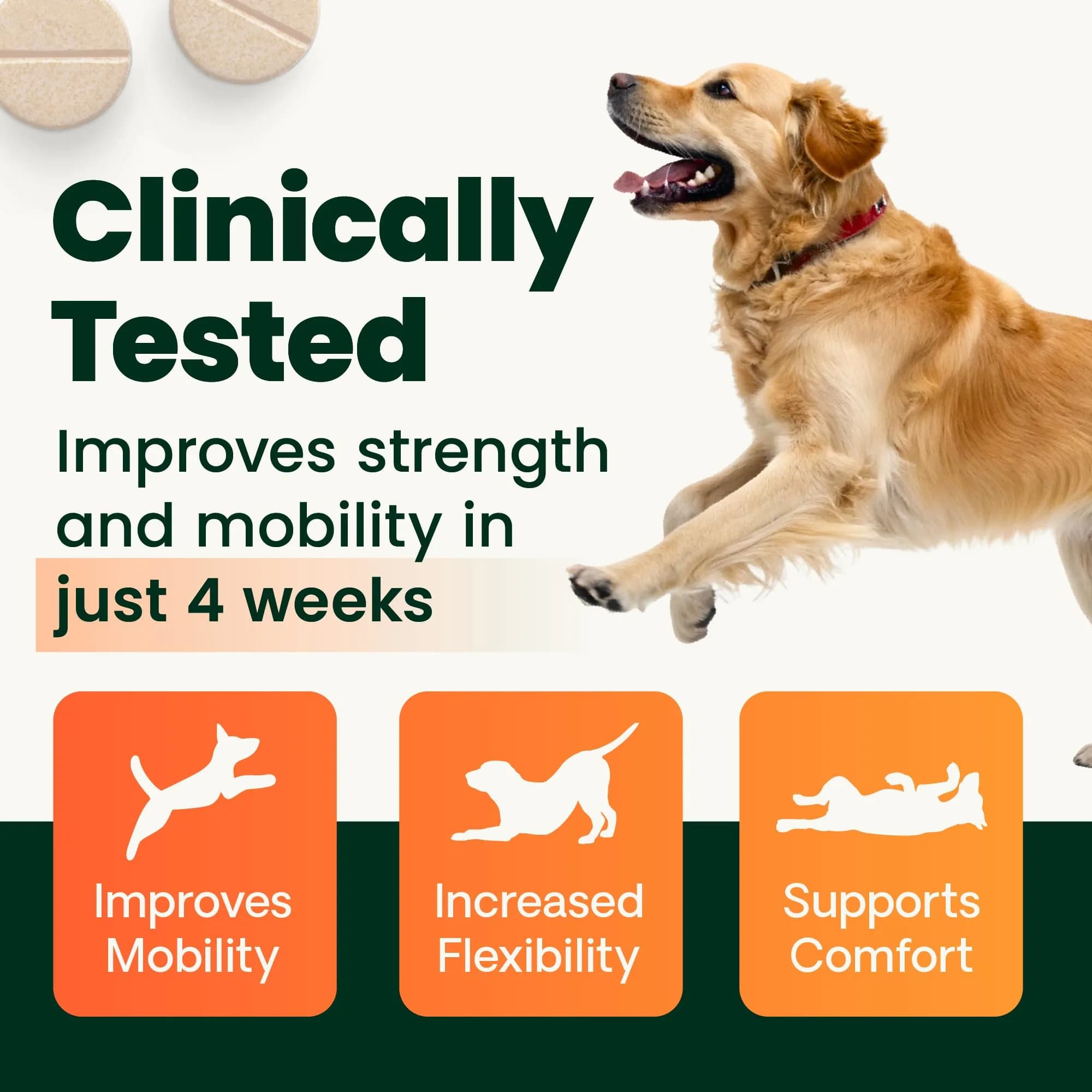 VetriScience Extra Strength Healthy Hip & Joint Chewable Tablets for Dogs | 240 Tablets (Pack of 2) - view 2