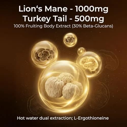 HojaSana Lions Mane Supplement Capsules with Turkey Tail, 90 Vegan Capsules | Cognitive & Immune Support thumbnail 2