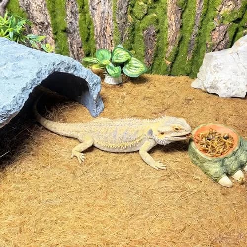 Hamiledyi Natural Coconut Fiber Reptile Carpet Roll 30cm x 3m (0.2-0.4cm Thick) | Breathable, Washable, DIY Substrate for Bearded Dragon, Tortoise, Lizard Habitats thumbnail 4