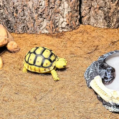 Hamiledyi Natural Coconut Fiber Reptile Carpet Roll 30cm x 3m (0.2-0.4cm Thick) | Breathable, Washable, DIY Substrate for Bearded Dragon, Tortoise, Lizard Habitats thumbnail 3
