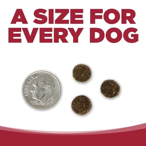 NutriSource Choice Beef & Barley Dog Food 5lb | Good4Life Probiotics, All Life Stages thumbnail 4