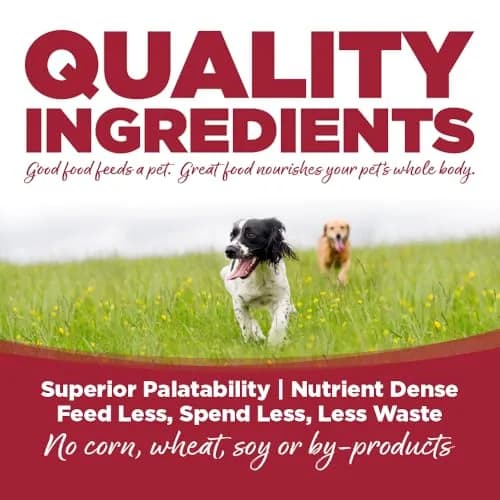 NutriSource Choice Beef & Barley Dog Food 5lb | Good4Life Probiotics, All Life Stages thumbnail 3