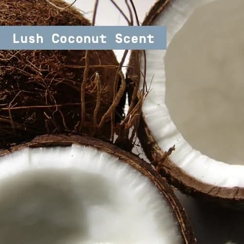 PAPATUI by Dwayne Johnson Antiperspirant Lush Coconut 2.6 oz (3pk) | Long-lasting sweat & odor control, vegan, tropical scent thumbnail 6