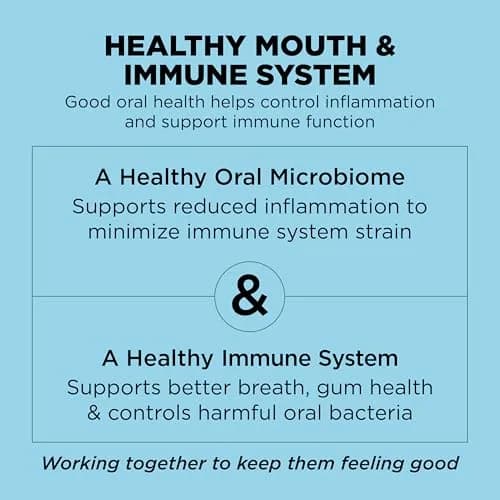 Go! Solutions Dental + Immune Health Chicken + Salmon Dry Cat Food, 6 lb | Supports Oral & Immune Health thumbnail 5