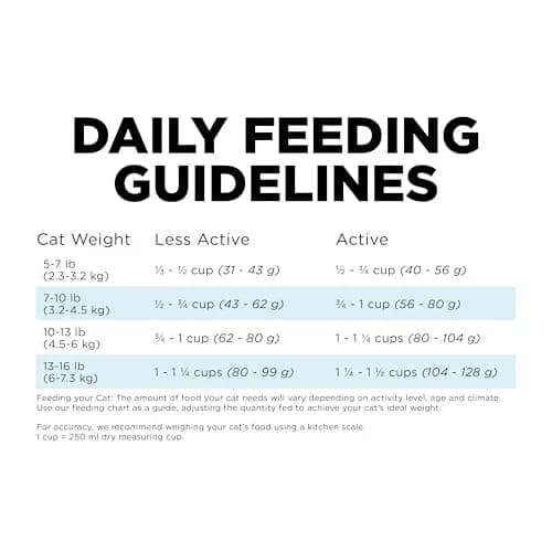 Go! Solutions Dental + Immune Health Chicken + Salmon Dry Cat Food, 6 lb | Supports Oral & Immune Health thumbnail 8