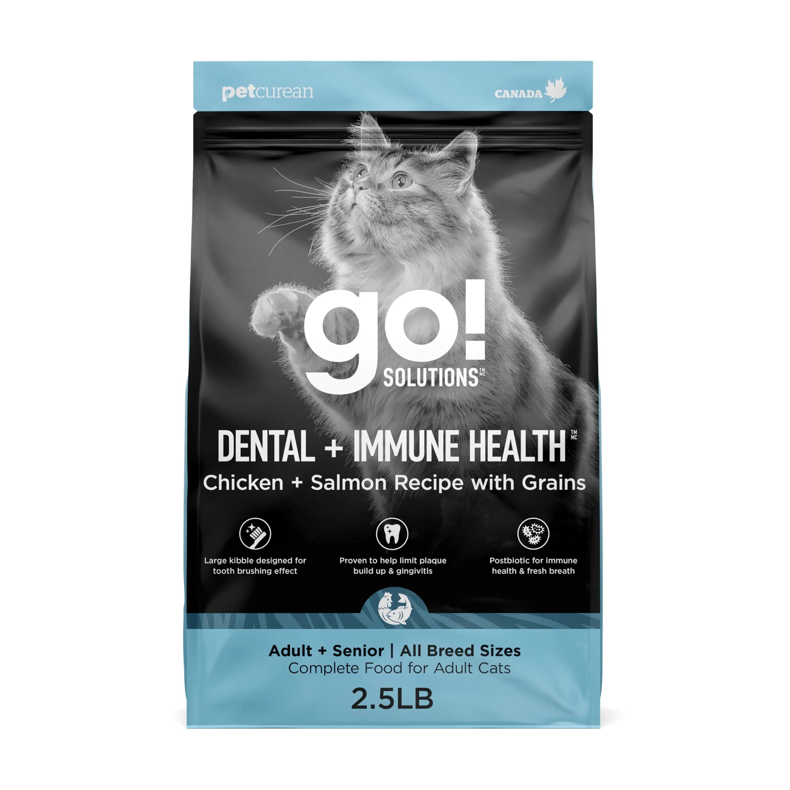 Go! Solutions Dental + Immune Health Chicken + Salmon Dry Cat Food, 6 lb | Supports Oral & Immune Health — 2.5 Pound
