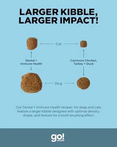 Go! Solutions Dental + Immune Health Chicken + Salmon Dry Cat Food, 2.27kg (5lb) | Supports Oral & Immune Health thumbnail 4
