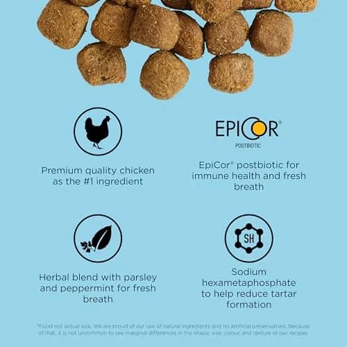 Go! Solutions Dental + Immune Health Chicken + Salmon Dry Cat Food, 2.27kg (5lb) | Supports Oral & Immune Health thumbnail 6
